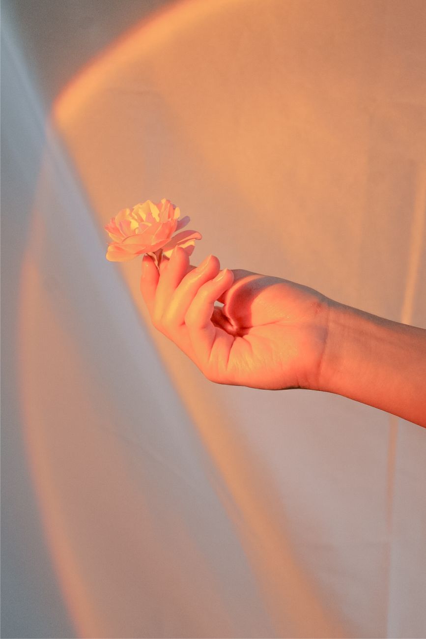 a hand holding a flower in front of a white curtain